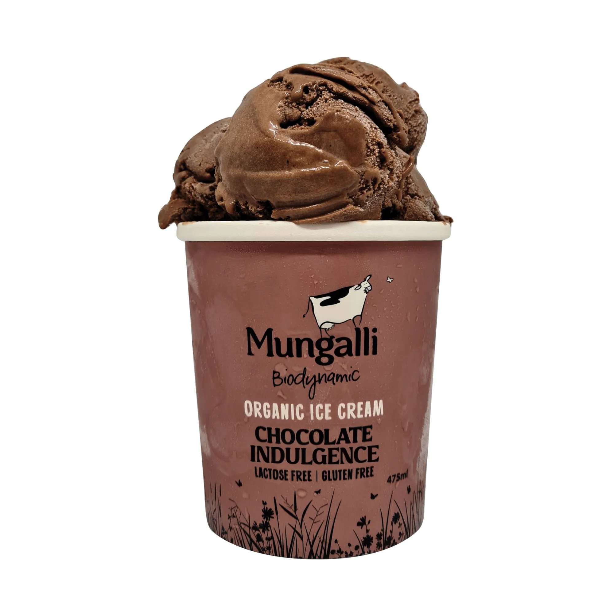 NEW Chocolate Indulgence ice cream from Mungalli Creek Dairy
