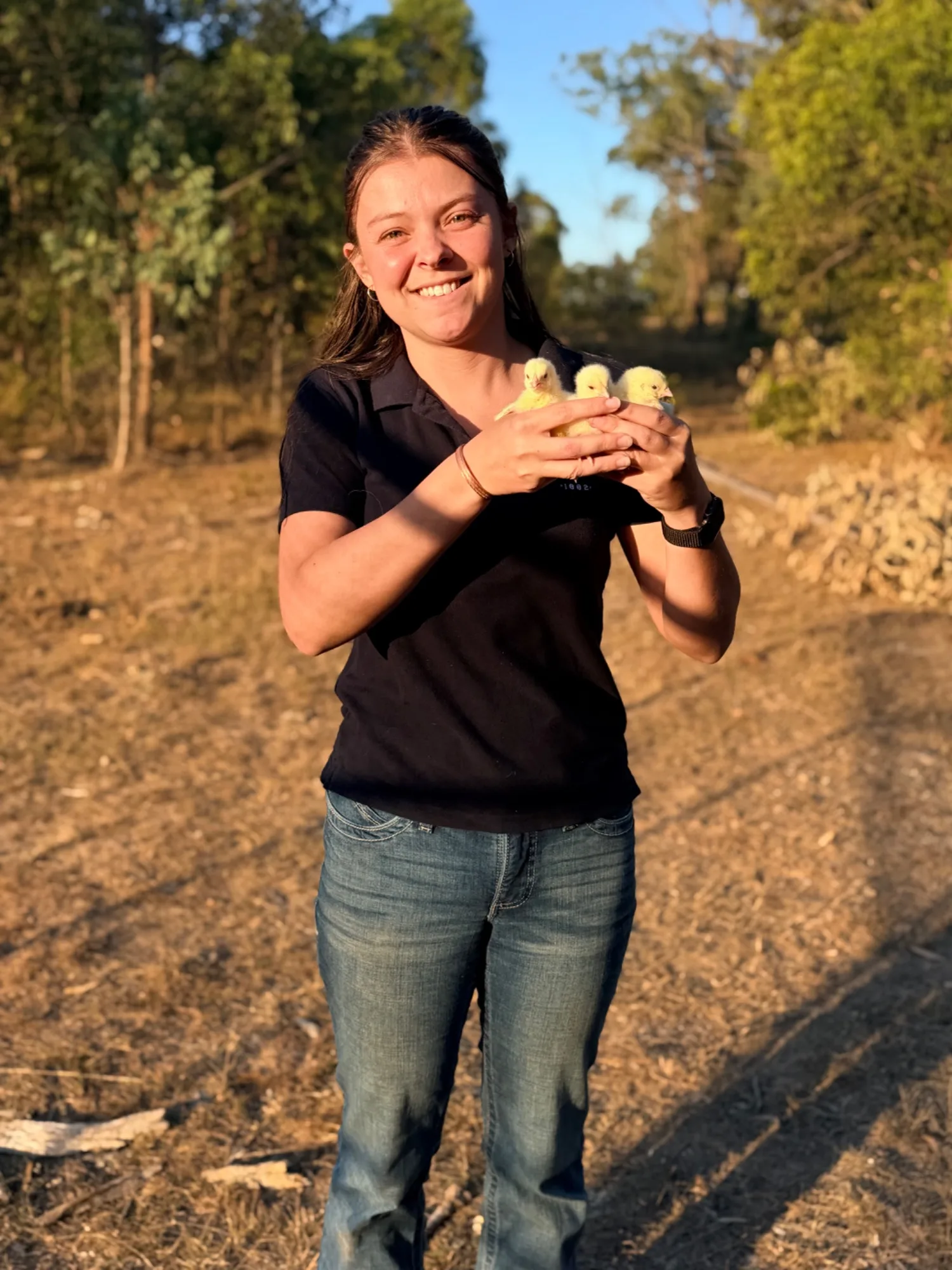 Winston Willows Poultry gallery 5
