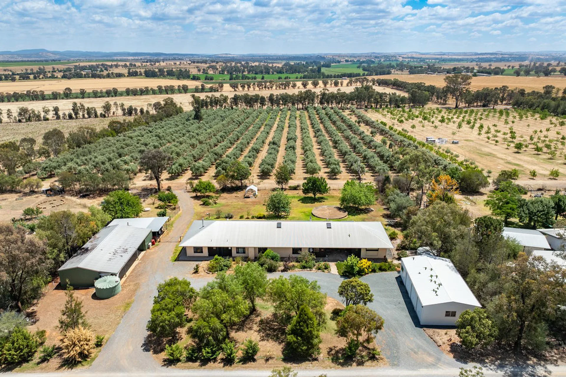 Friendly Farms - Kalavista gallery 1