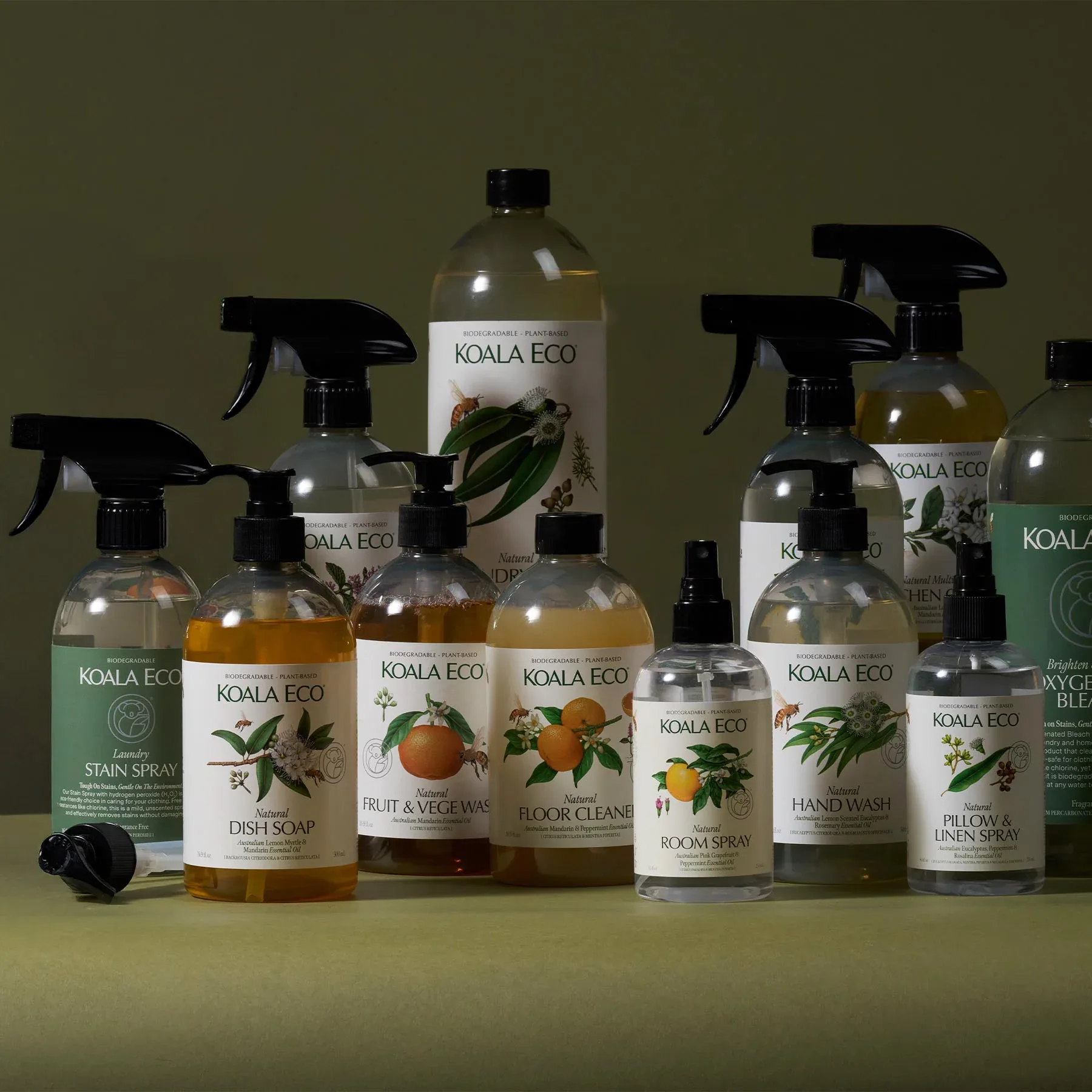 Koala Eco gallery 2