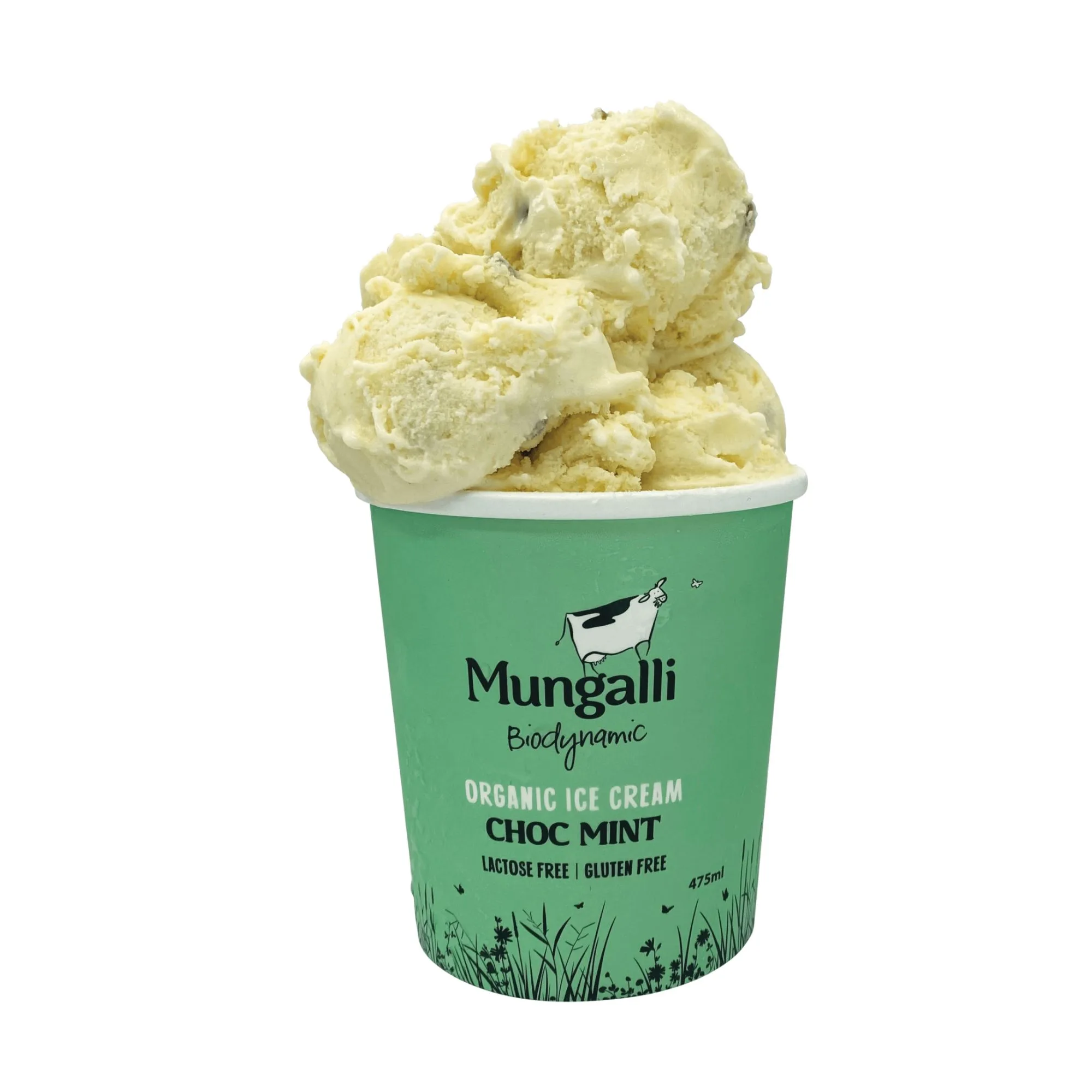 Chocolate Mint Ice Cream