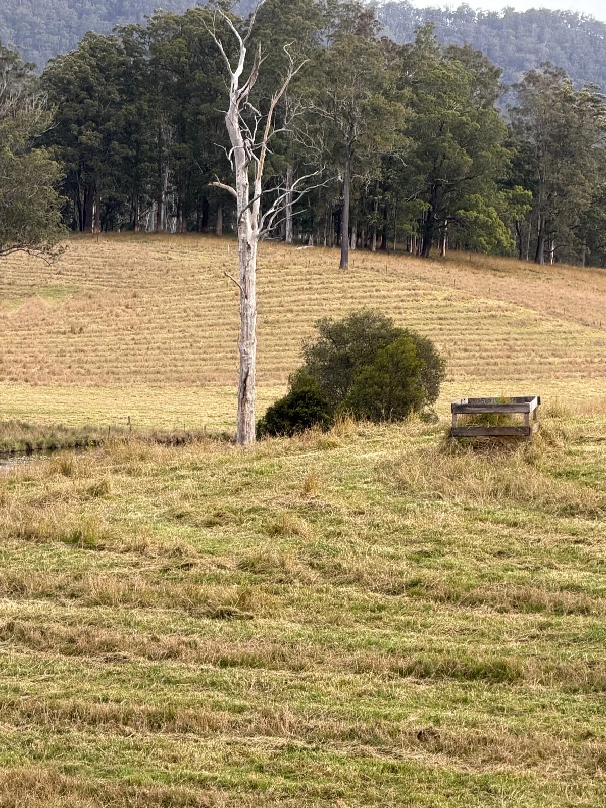 Spring update (1 of 2)