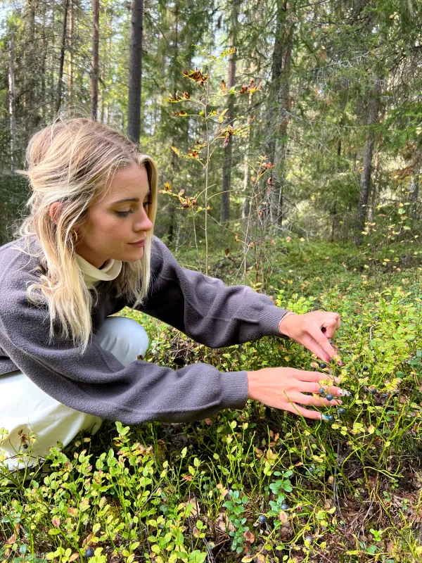 Organic Wild Blueberries - alternate